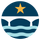 austinpooltimes's avatar