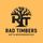 radtimbers's avatar